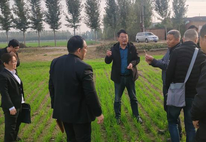 农业发展部组织召开小麦苗情观摩会