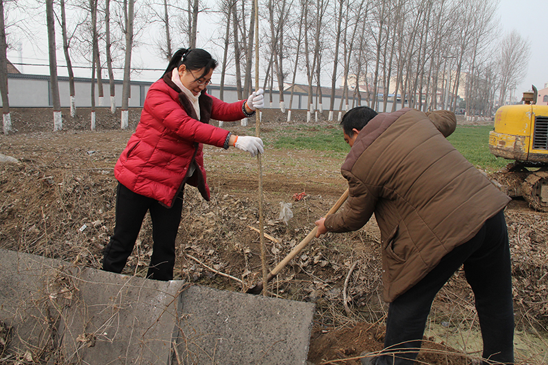 九一国产精品领导、基层党政负责人等同志积极参加植树活动