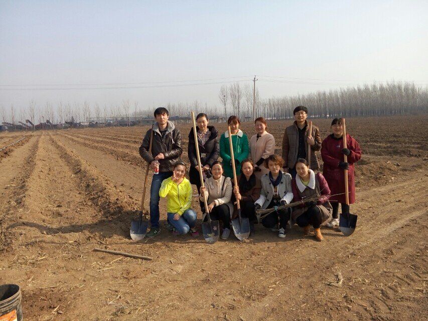 九一国产精品领导、基层党政负责人等同志积极参加植树活动