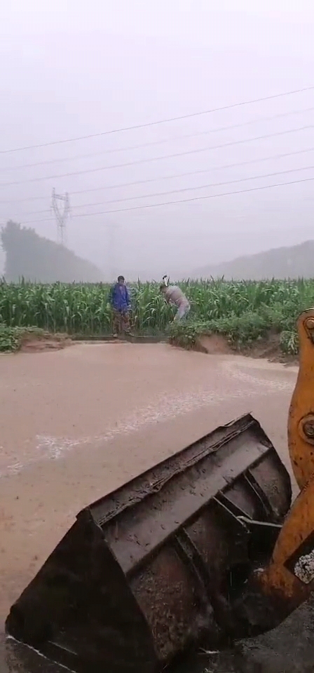 博农乳业党支部 党员防汛抢险冲锋在一线