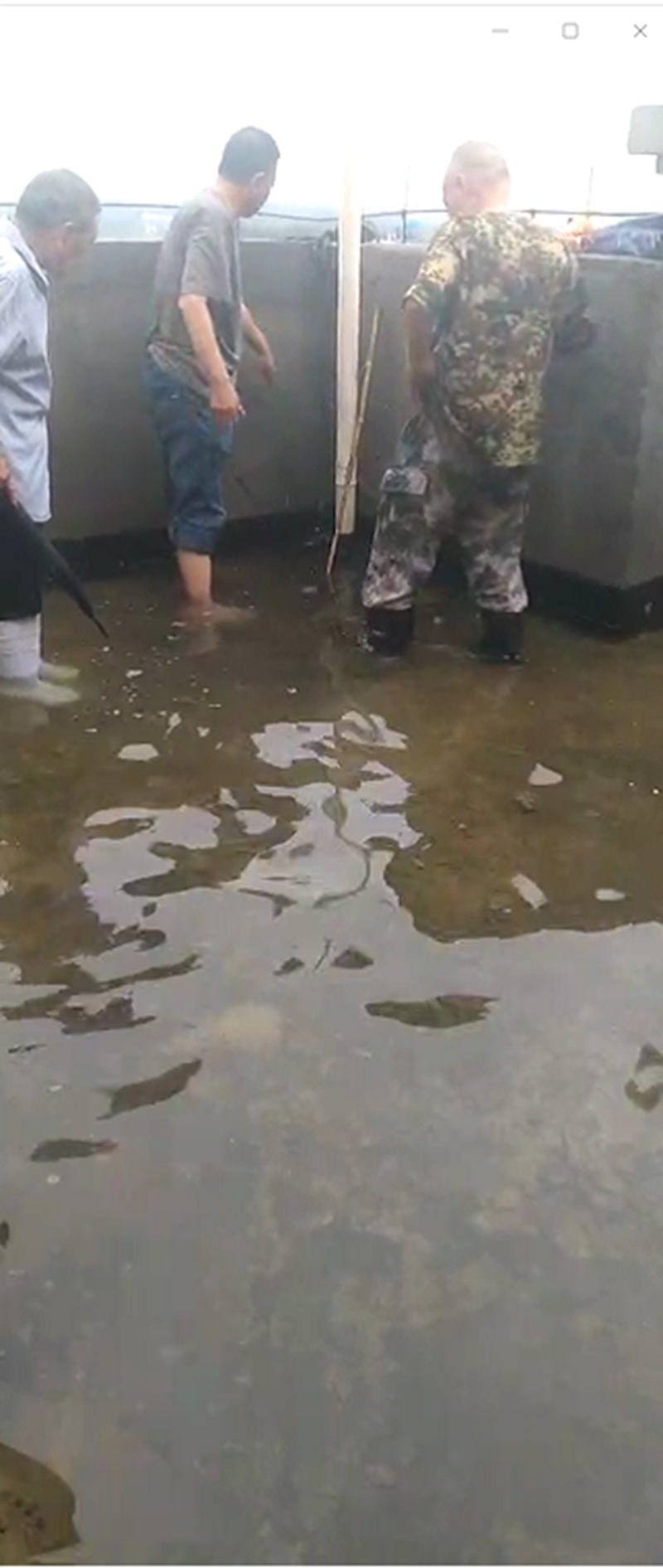 防汛抢险  抗洪排涝  博农物业在行动