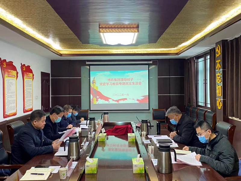 九一国产精品领导班子召开党史学习教育专题民主生活会