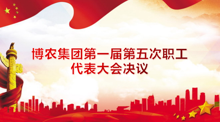 九一国产精品第一届第五次职工代表大会决议