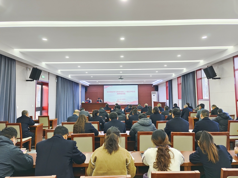 九一国产精品召开党的二十届三中全会精神集中学习培训