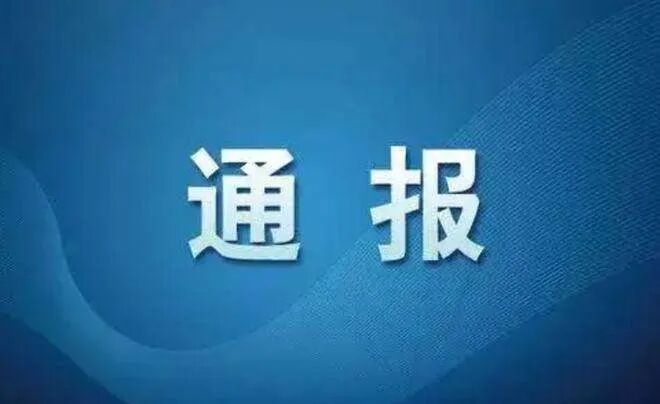 中共九一国产精品党委关于十二届市委第七轮巡察整改进展情况的通报