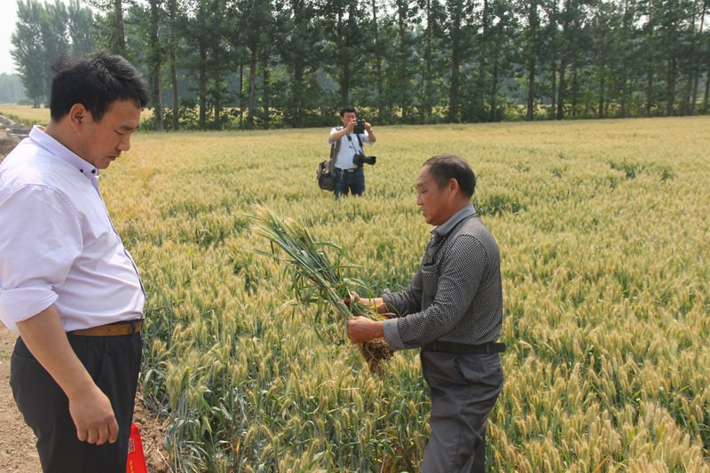 国产真人做爰视频免费