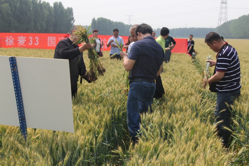 国产真人做爰视频免费