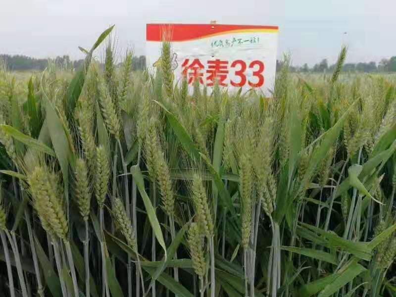 国产真人做爰视频免费