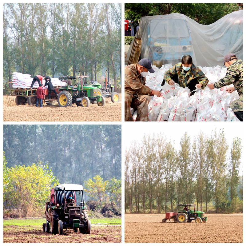 微信图片_20221031171639