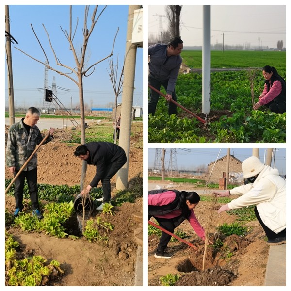 微信图片_20240314162329_副本